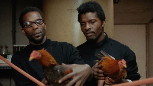 Scheiß auf den Tod Bild 4