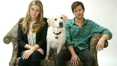 Wer kriegt den Hund? Bild 1