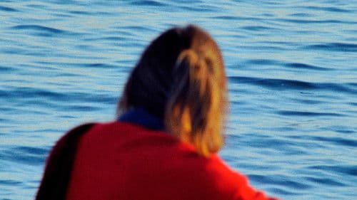 Historia dunha bicicleta (sen aire nas rodas e chea de po) Bild 1