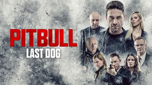 Pitbull. Ostatni pies Bild 2