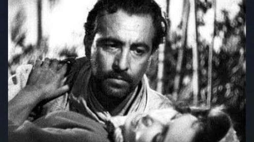 Las aguas bajan turbias Bild 3