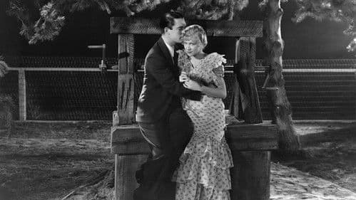 Golden Harvest Bild 3