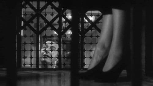 Wofür das Leben sich lohnt Bild 1