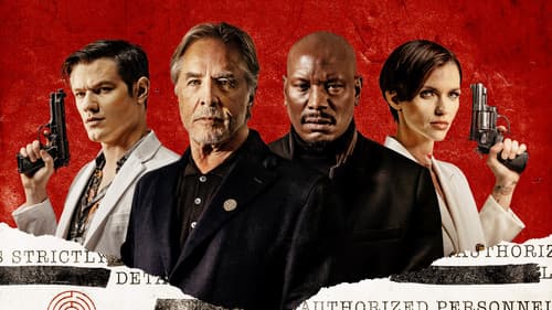 The Collective Bild 3