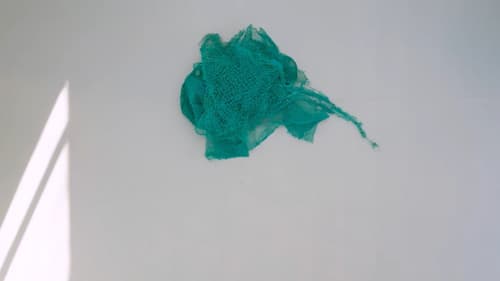 SeaMonster II Bild 1