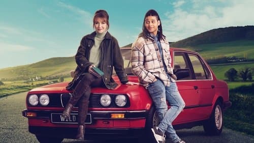 Harry Wild - Mörderjagd in Dublin Bild 1