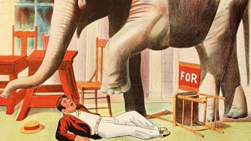 Mike's Brainstorm Bild 1