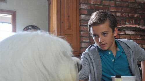 Albert - Der unsichtbare Hund Bild 1