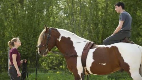 Wie vom Blitz getroffen Bild 1