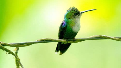 Super/Natural Bild 4