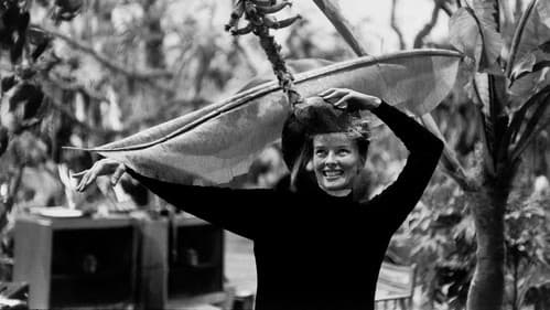 Call Me Kate - Katharine Hepburn, Star mit eigenem Kopf Bild 7