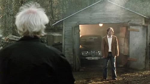 Sprickorna i muren Bild 1