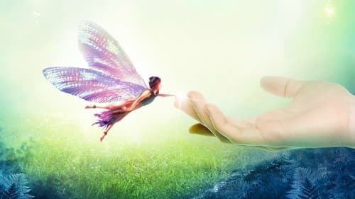 Fremde Wesen - Zauber der Elfen Bild 1