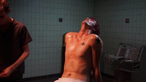 We Are Animals Bild 4