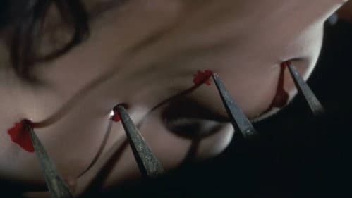 白い肌の狩人　蝶の骨 Bild 4