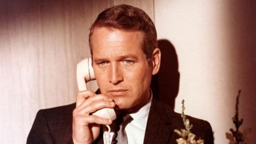 Ein Fall für Harper Bild 2