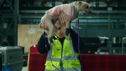 Ein Sturm zu Weihnachten Bild 6