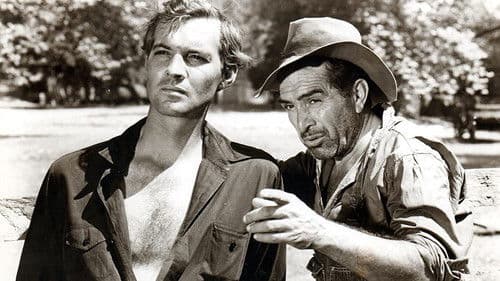 Der Mann aus dem Süden Bild 2