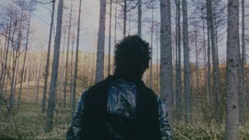 私立探偵 濱マイク 名前のない森 Bild 4