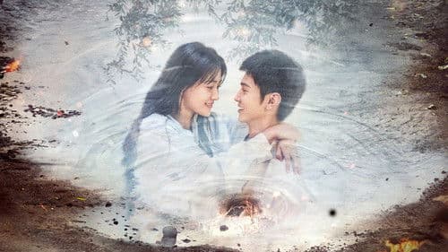 白色橄榄树 Bild 4