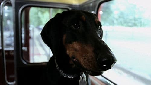 My Wrongs #8245–8249 & 117 Bild 3