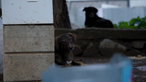 Belirsiz Mahal Bild 1