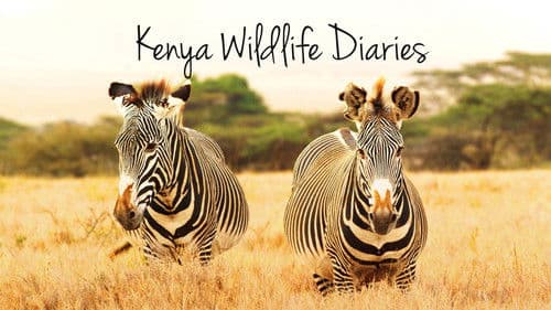 Kenya Wildlife Diaries Bild 1