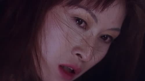 Twilight Dinner Bild 1