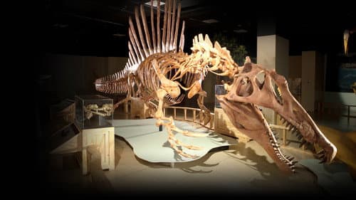 Top 10 Biggest Beasts Ever Bild 1