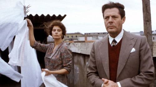 Marcello Mastroianni, irrésistiblement libre Bild 6