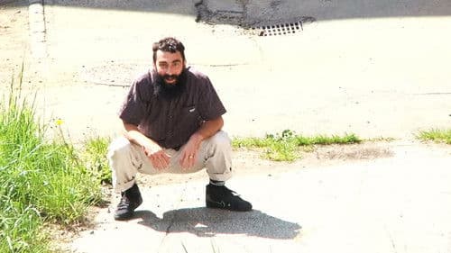 Everything is Normal Bild 2