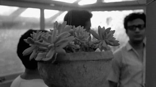 চিড়িয়াখানা Bild 5