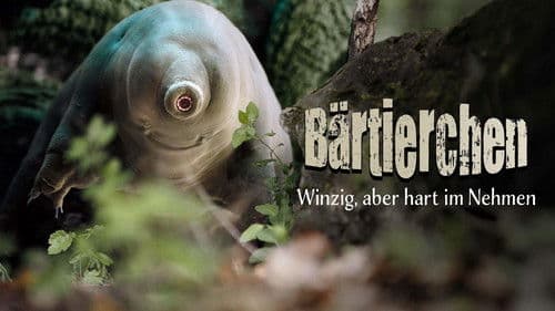 Tardigrade, l'animal indestructible Bild 3