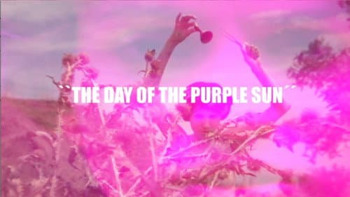 Der Tag der violetten Sonne Bild 2