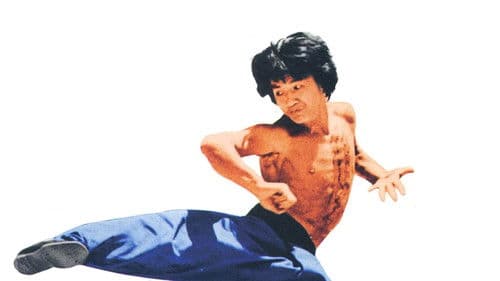 Der Meister mit den gebrochenen Händen Bild 4