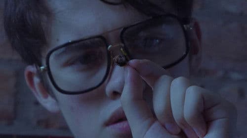 Bobby Bobertson Bild 1