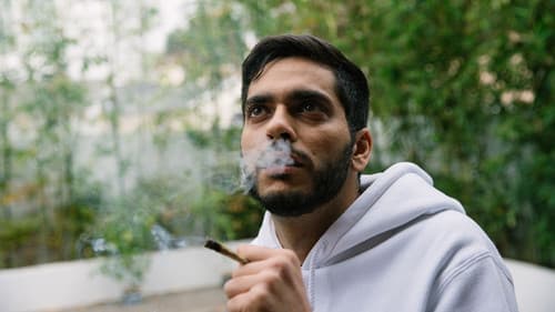 Bong Appétit Bild 2