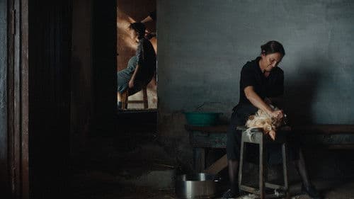 La imatge permanent Bild 2