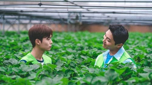 트랙터는 사랑을 싣고 Bild 5