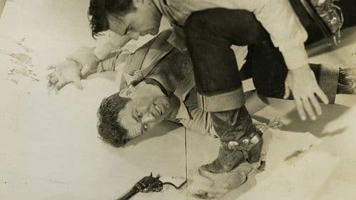 Sundown Rider Bild 1