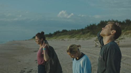 Überlebende des Sommers Bild 8