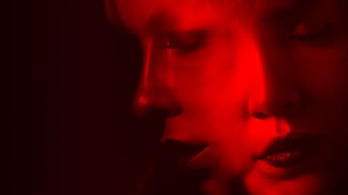 The Imposters Bild 2