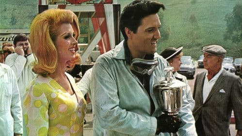 Sag niemals ja Bild 3