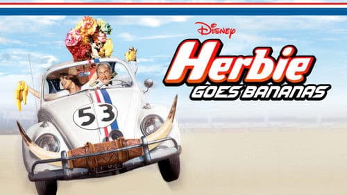 Herbie dreht durch Bild 7