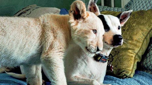 Lena & Snowball Bild 5