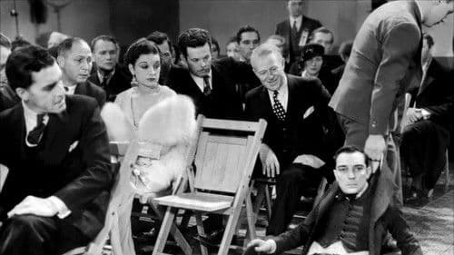 What! No Beer? Bild 3