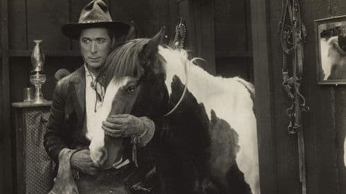 Knight of the Trail Bild 1