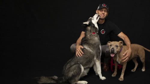 Zweite Chance für Hunde Bild 2