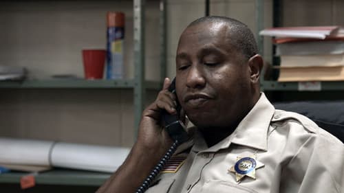 Summer Shark Attack Bild 2