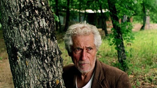 Bedrängnis im Mai Bild 3